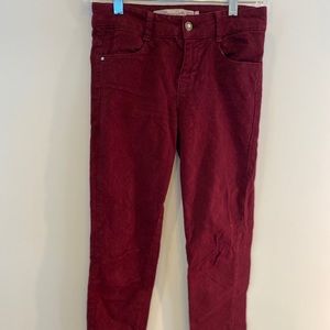 Zara Maroon Pants